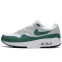 Кроссовки Мужские Nike Air Max 1 Anniversary Green